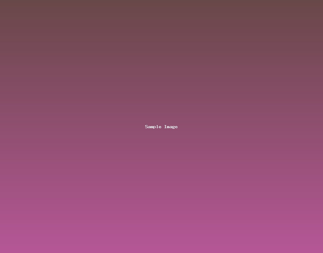 sample-image-984.jpg